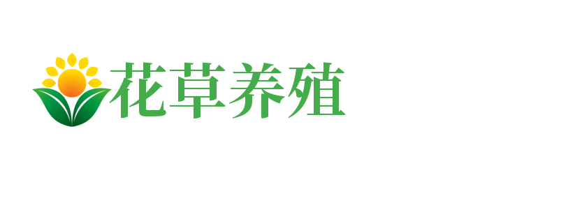 江西省吉安市永丰县循圣音响合伙企业